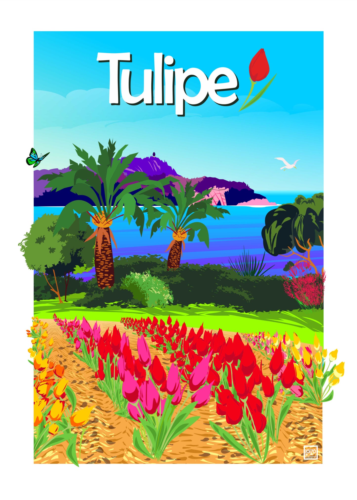Fleurs Tulipe